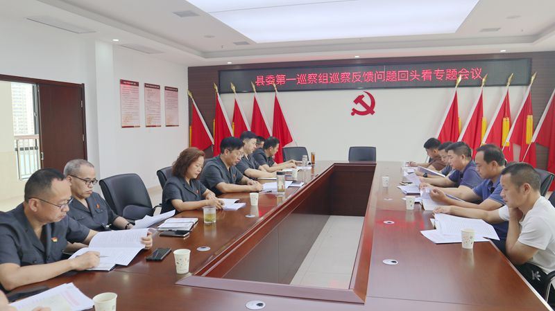 巡察回头看.jpg